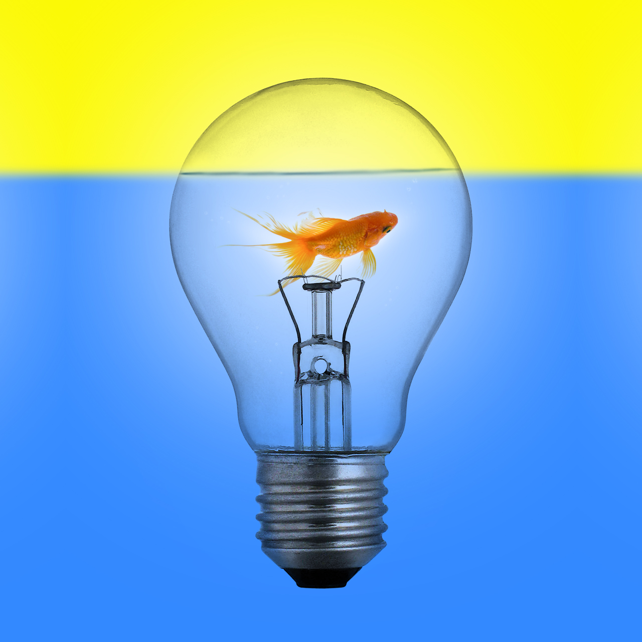 fish_lamp