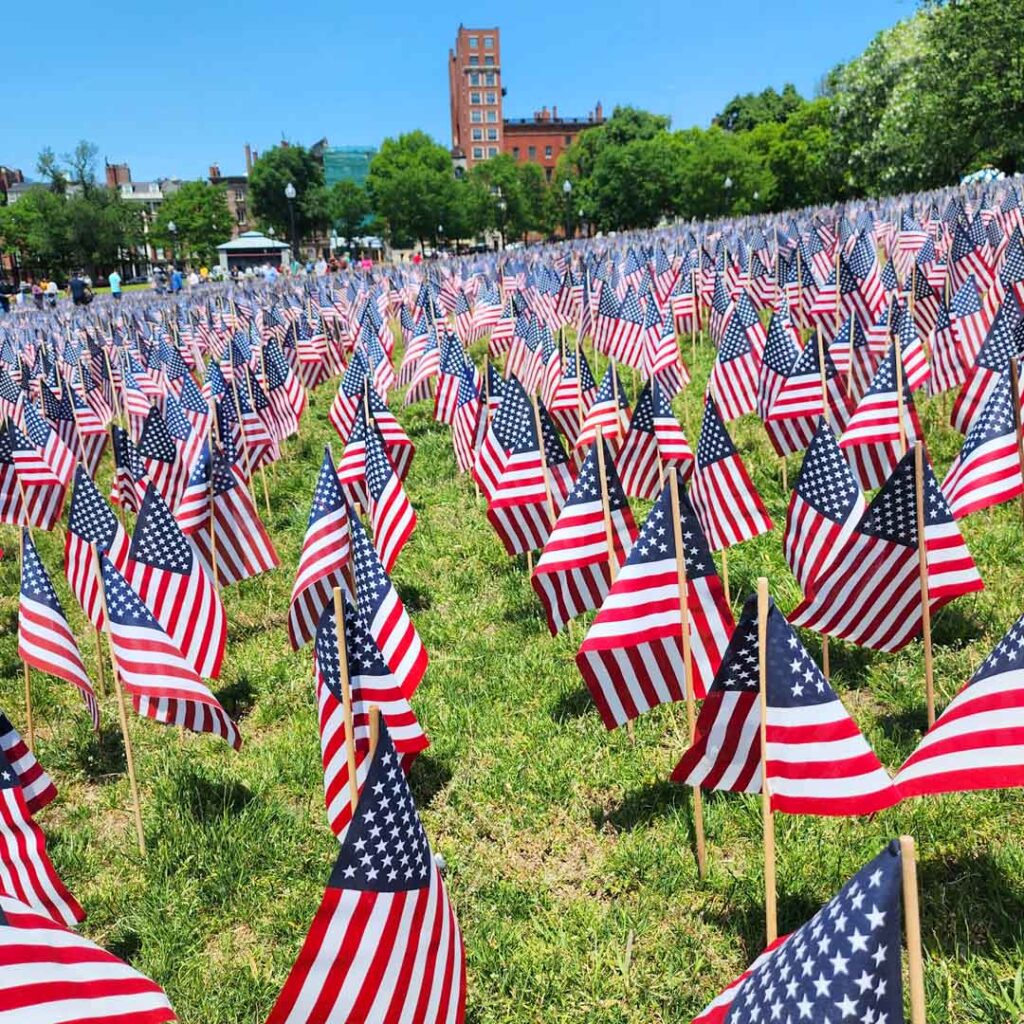 flags